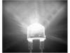 http://https://mocubo.es//p/11614-200-x-led-blanco-5-mm.html