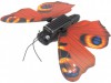 http://https://mocubo.es//p/11833-mariposa-solar.html