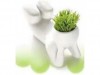 http://https://mocubo.es//p/12344-cabeza-crece-pelo.html