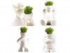 http://https://mocubo.es//p/12344-cabeza-crece-pelo.html