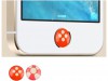 http://https://mocubo.es//p/12694-protector-de-crista-templado-de-02mm-para-iphone-55c5s-marco-negro.html