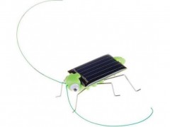 1474 saltamontes solar.jpeg
