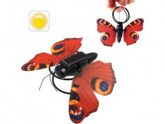 4025 mariposa solar.jpeg