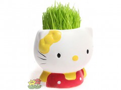 4999 super kitty maceta amarilla.jpeg
